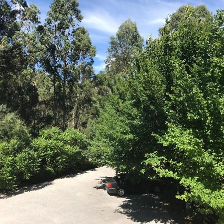 Europa Bed and Breakfast Castanheira de Pera Εξωτερικό φωτογραφία
