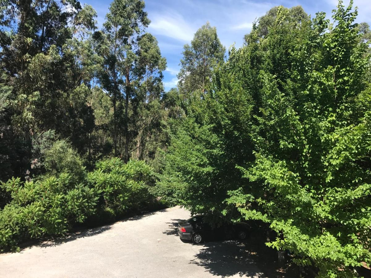 Europa Bed and Breakfast Castanheira de Pera Εξωτερικό φωτογραφία